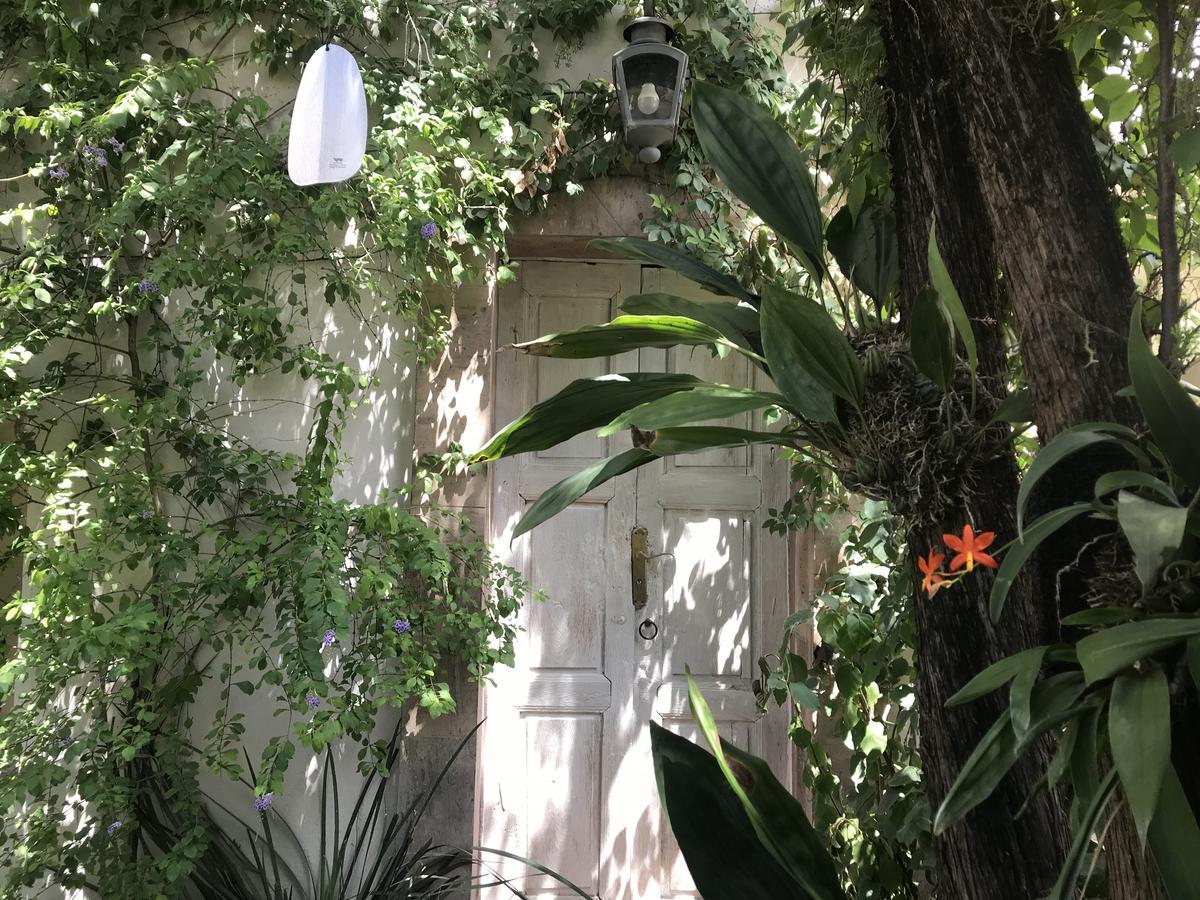 Hotel Fk San Miguel de Allende Exteriör bild